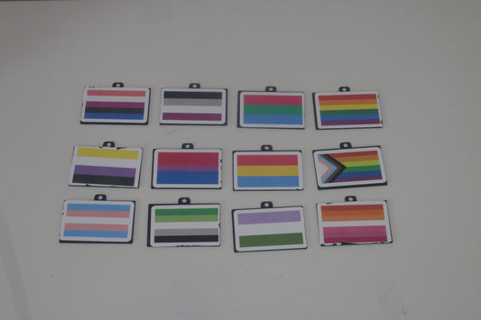 Pride Flag Keychains
