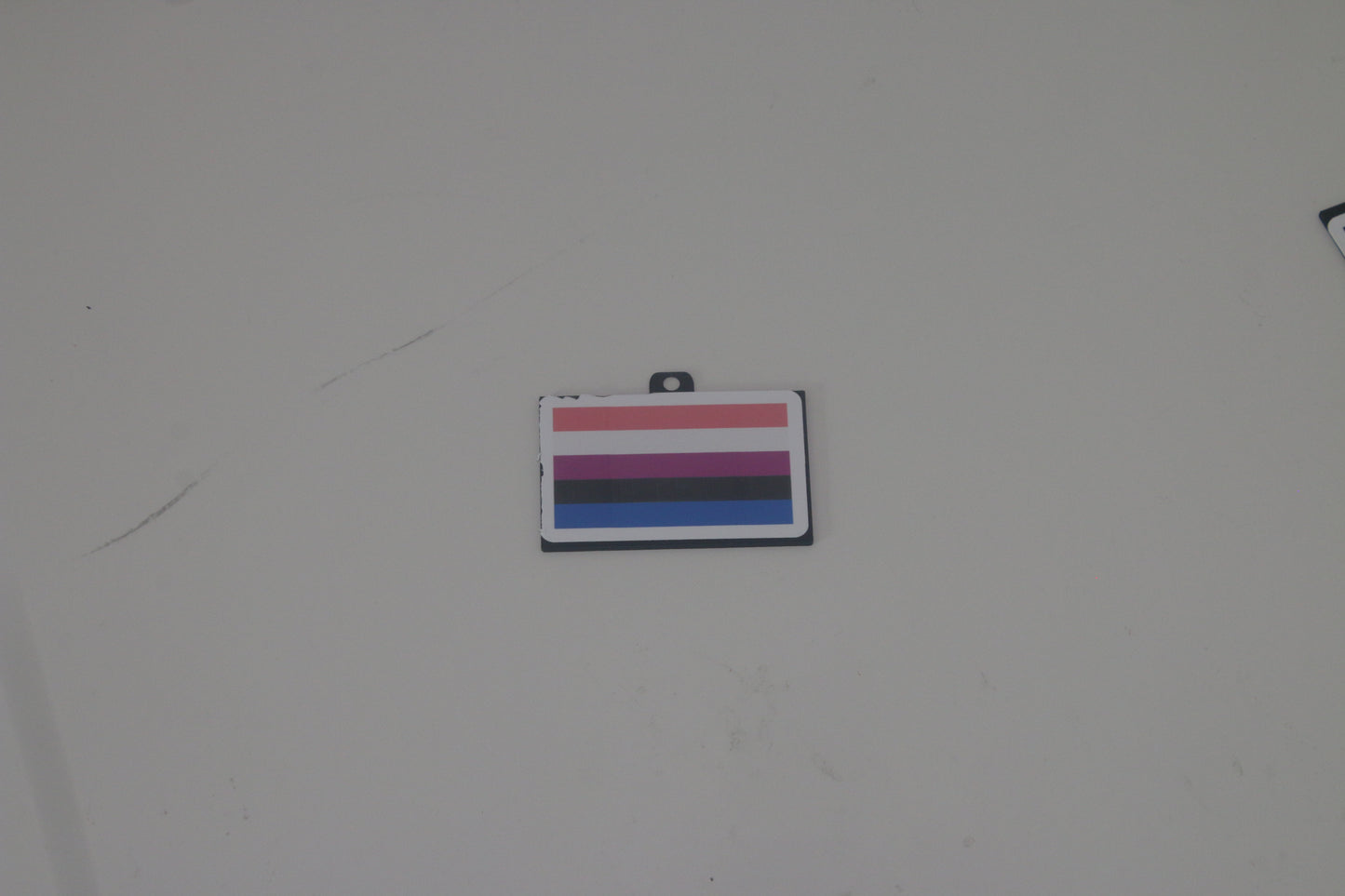 Pride Flag Keychains